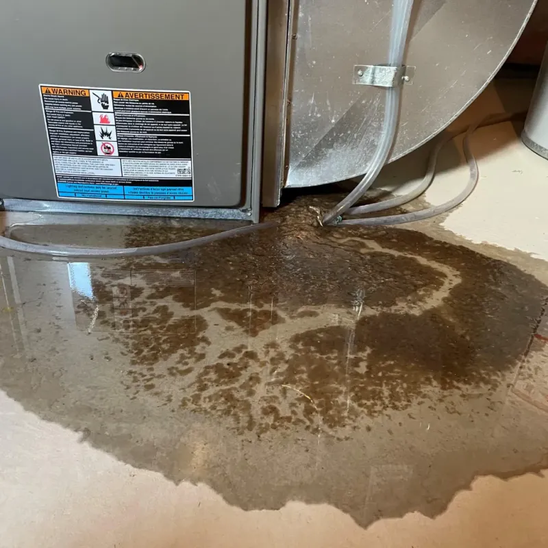 Appliance Leak Cleanup in Selden, NY